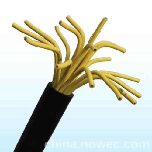 djyp2vp2 22计算机电缆价格合理吴堡